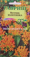 Цветы Ваточник Золотинка (Гавриш) К1-00001543