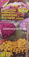 Цветы Хризантема индийская Корейская Кустовая смесь (Аэлита-экстра) К1-00000171