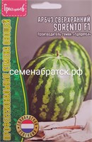 Арбуз Соренто F1 (Sorento) (Редкие) РТ-00005663