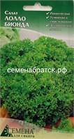 Салат Лолло Бионда (СдС Красноярск) РТ-00005606