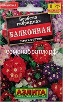 Цветы Вербена Балконная л/п (Аэлита) РТ-00005580