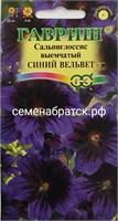 Цветы Сальпиглоссис Синий вельвет (Гавриш) К1-00001503