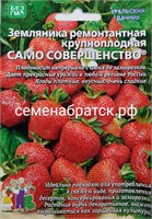 Земляника Само совершенство (Уральский дачник) РТ-00005049