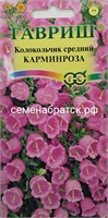 Цветы Колокольчик Карминроза (Гавриш) РТ-00004635