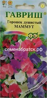 Цветы Душистый горошек Маммут (Гавриш) К1-00000055