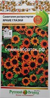 Цветы Санвиталия Яркие глазки (НК) К1-00001508