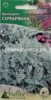 Цветы Цинерария Серебряная (СдС Красноярск) РТ-00002909