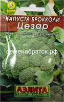 Капуста брокколи Цезар (Аэлита) РТ-00003035