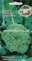 Капуста брокколи Цезарь (Седек) Я1-00000535