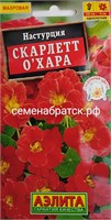 Цветы Настурция Скарлет Охара (Аэлита) ЯН-00000425