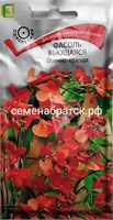 Цветы Фасоль вьющаяся Огненно-красная (Поиск) РТ-00002296